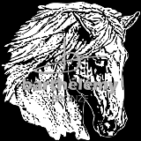Tte de cheval (lithogravure)