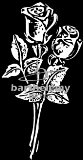 Roses (lithogravure)