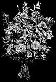 Bouquet de fleurs (lithogravure)