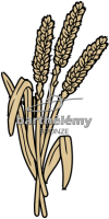 Epis de blé sauvages Bronze